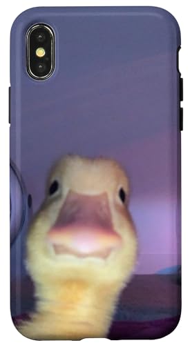 iPhone X/XS Funny Duck Selfie Aesthetic Yellow Chick Meme Animal Zoo Case