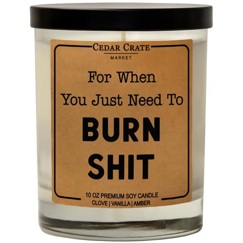 for When You Just Need to Burn S | Funny Candles for Adults | Profanity Candles | Naughty Birthday Candle for Men, Women | Inappropriate Gifts for Boss Coworkers | Gag Gifts Novelty Gift for Friends