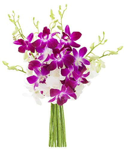 Exotic Opal Orchid Bouquet of Purple and White Orchids without Vase - Fall Collection - KaBloom Prime Next Day - Gift for Birthday,Anniversary, Thank You, Valentine, Mother’s Day Fresh Flowers