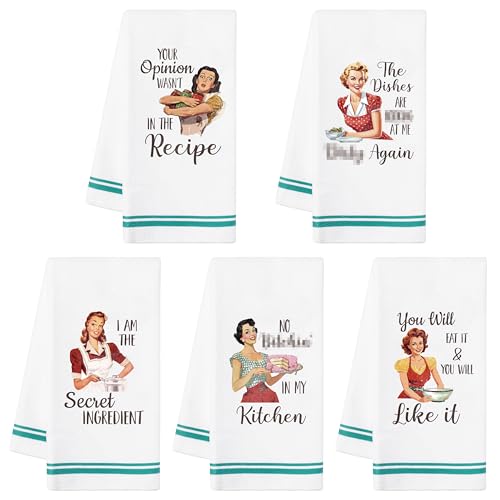 R HORSE 5Pcs Kitchen Dish Towel Funny Joked Themed Dishcloth Absorbent Dish Tea Towel Retro Sassy Lady Kitchen Towel Bar Hand Dishcloth Hilarious Hand Towel Gift for Hostess Mom Women Housewarming