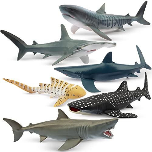 Toymany 6PC Realistic Shark Figurines Set - 5-6' Ocean Animals Bath Toys, Cake Toppers, Gifts for Kids & Toddlers