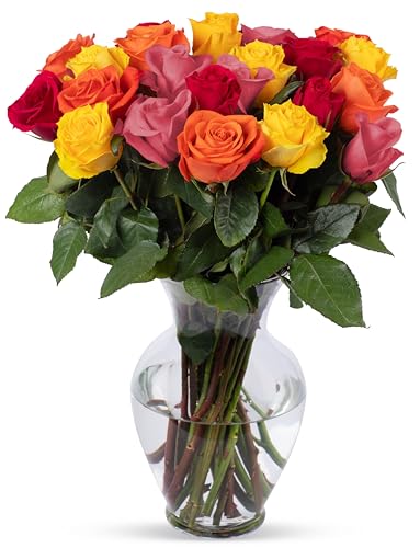 Benchmark Bouquets, 24 Stem Rainbow Roses, Glass Vase Included, Gift Fresh Flowers for Birthday, Anniversary, Get Well, Sympathy, Congratulations, Thank You, Just Because