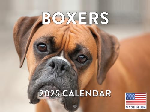 Boxer Calendar 2025 Boxer Dog Gifts Monthly Wall Calender 12 Month | Made In The USA