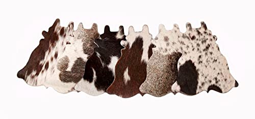 Cowhide Coaster Set of 6 pcs Natural Cowhide Drink Coasters Hair On Cow Shape Coasters Leather Tea Cup Coasters Home Décor & Home Living Ideas by NGF, 4.5 x 4.5 x 0.5 inches