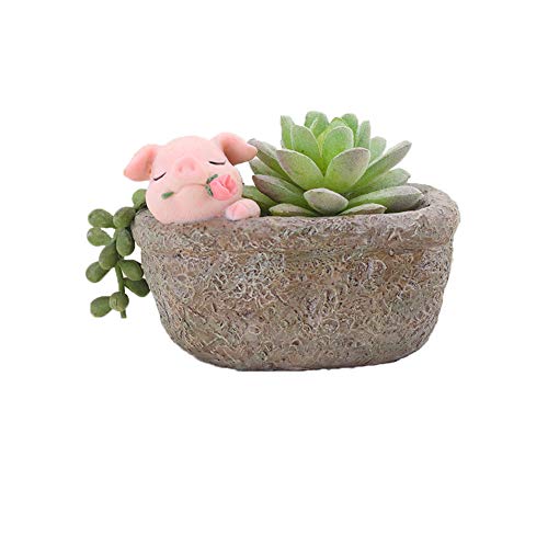 Youfui Home Decor Pot, Succulent Planter Flowerpot Decor for Home Office Desk (Rose Pig)