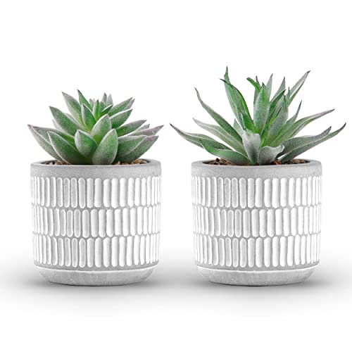 Der Rose Set of 2 Succulents Plants Artificial Fake Plants for Living Room Bathroom Bedroom Aesthetic Home Shelf Decor