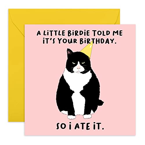 Amazon 10 Funny Cat Birthday Cards 2024 - Oh How Unique!