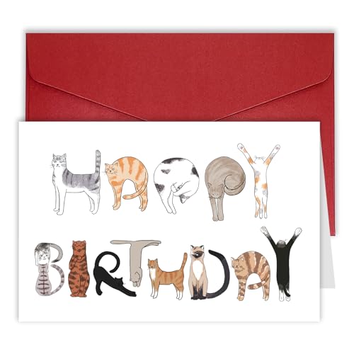 Bhiosng Happy Birthday Card for Cat Lover, Funny Cats Birthday Cards for Men Women, Cute Cat Owner Birthday Gift From Cat, Humor Cat Birthday Gift Card For Dad Mom Brother Sister Cat Lover