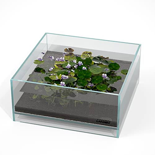 LANDEN Glass Air Aquarium Tank Multi-Scene Landscape Aquarium, 1.6Gallon Rimless Low Iron Shallow Tank,10.63' W×10.63' D×4.72' H (27cmx27cmx12cm) 5mm Thickness