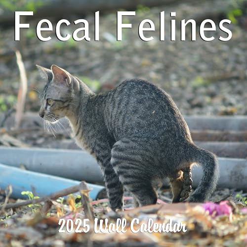 2025 Fecal Felines Monthly Wall Calendar | Cats Pooping Calendar | 12' x 24' | Thick Sturdy Paper | Funny Calendar Animals Pooping Calendar White Elephant Gift Prank Gift 2025