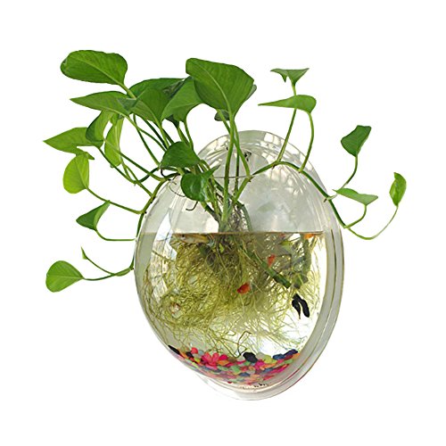 Sweetsea Hanging Wall Mounted 1 Gallon Fish Tank Bowl Aquarium Wall Decor Plant Fish Bubble - Clear (Large)