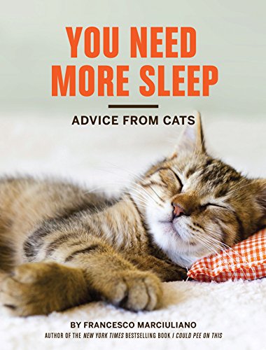 You Need More Sleep: Advice from Cats