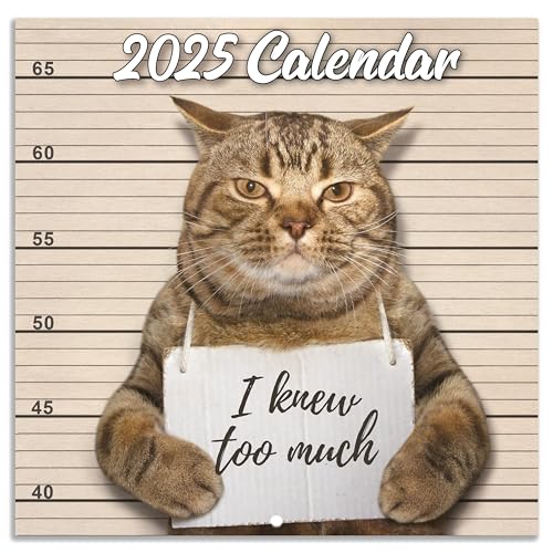 2025 Wall Calendar - JAN. 2025 - DEC. 2025, Funny Cat Calendar 2025, 12-Month Calendar, Funny Cat Memes Pics, 12' x 24' Opened, 2025 Calendar