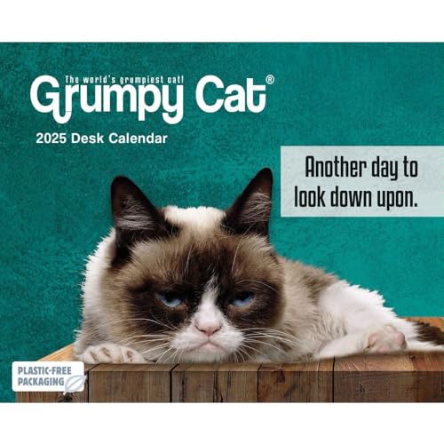 Carousel Calendars, Grumpy Cat 2025 Desk Calendar