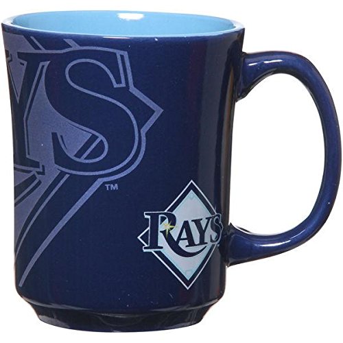 Amazon 10 Unique Tampa Bay Rays Fan Gifts 2020 - Oh How Unique!