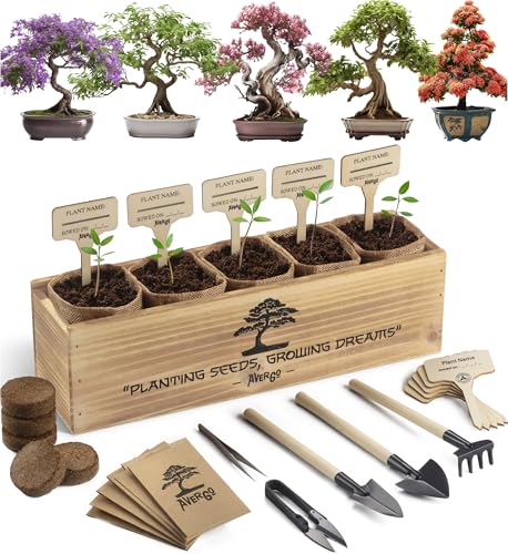 AVERGO Bonsai Tree Kit – 5X Unique Japanese Bonzai Trees | Complete Indoor Bonsai Starter Kit for Growing Bonsai Plants with Tools & Planters – Gardening Gifts for Women & Men