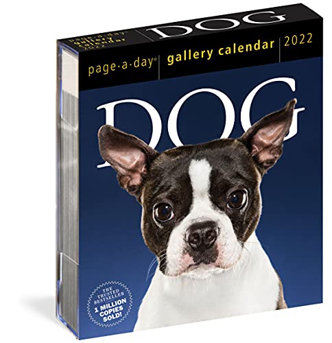 Amazon 10 Funny Dog Calendar 2022 2023 - Oh How Unique!