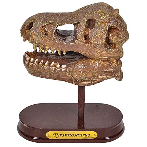 ArtCreativity Dinosaur Excavation Kit for Kids, 5.5” T-Rex Dino Skull Excavating Set with Fossil Digging Tools and Stand, Fun Science Activity Toy, Holiday/Birthday Gift for Boys, Girls, Adults