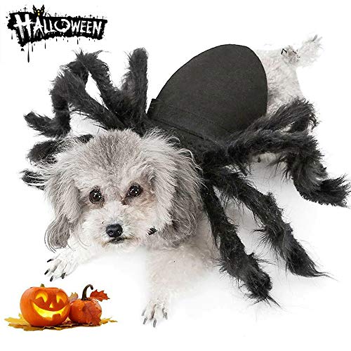 Spider Costume for Halloween Party Decoration, Cosplay Costumes for Small Dogs and Cat, Puppy Dress Up Accessories Black