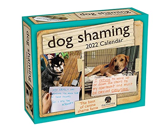 Amazon 10 Funny Dog Calendar 2022 2023 - Oh How Unique!