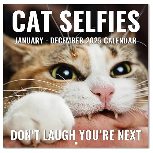 2025 Wall Calendar - Funny Cats Calendar 2025, 12' x 24' (Open), Jan 2025 - Dec 2025, 12-Month Calendar, Lovely Cat Selfies Calendar, Unruled Blocks, Thick Paper, Hanging Hole, Holidays Reminder