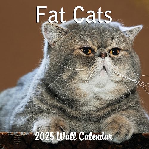 2025 Fat Cats Monthly Wall Calendar | 12' x 24' | Thick Sturdy Paper | Funny Cats Gag Gift or White Elephant Gift Calendar 2024-2025