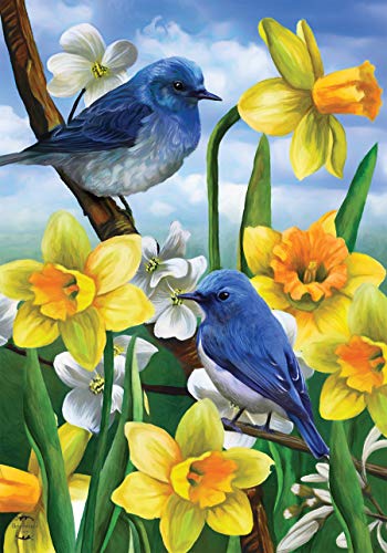 Bluebirds And Daffodils Spring Garden Flag Floral 12.5' x 18' Briarwood Lane