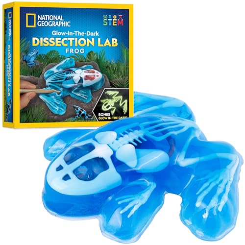 NATIONAL GEOGRAPHIC Frog Dissection Kit Anatomy Lab - Glow in the Dark Synthetic Frog Dissecting Science Lab for Kids with Dissecting Tools, Glowing Bones & Realistic Organs, Science Toys, Biology Kit